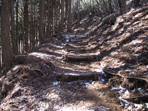 20181214hike (104)